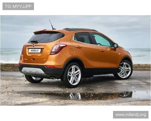 欧宝娱乐安全保障措施：保障玩家资金与个人信息安全的关键策略